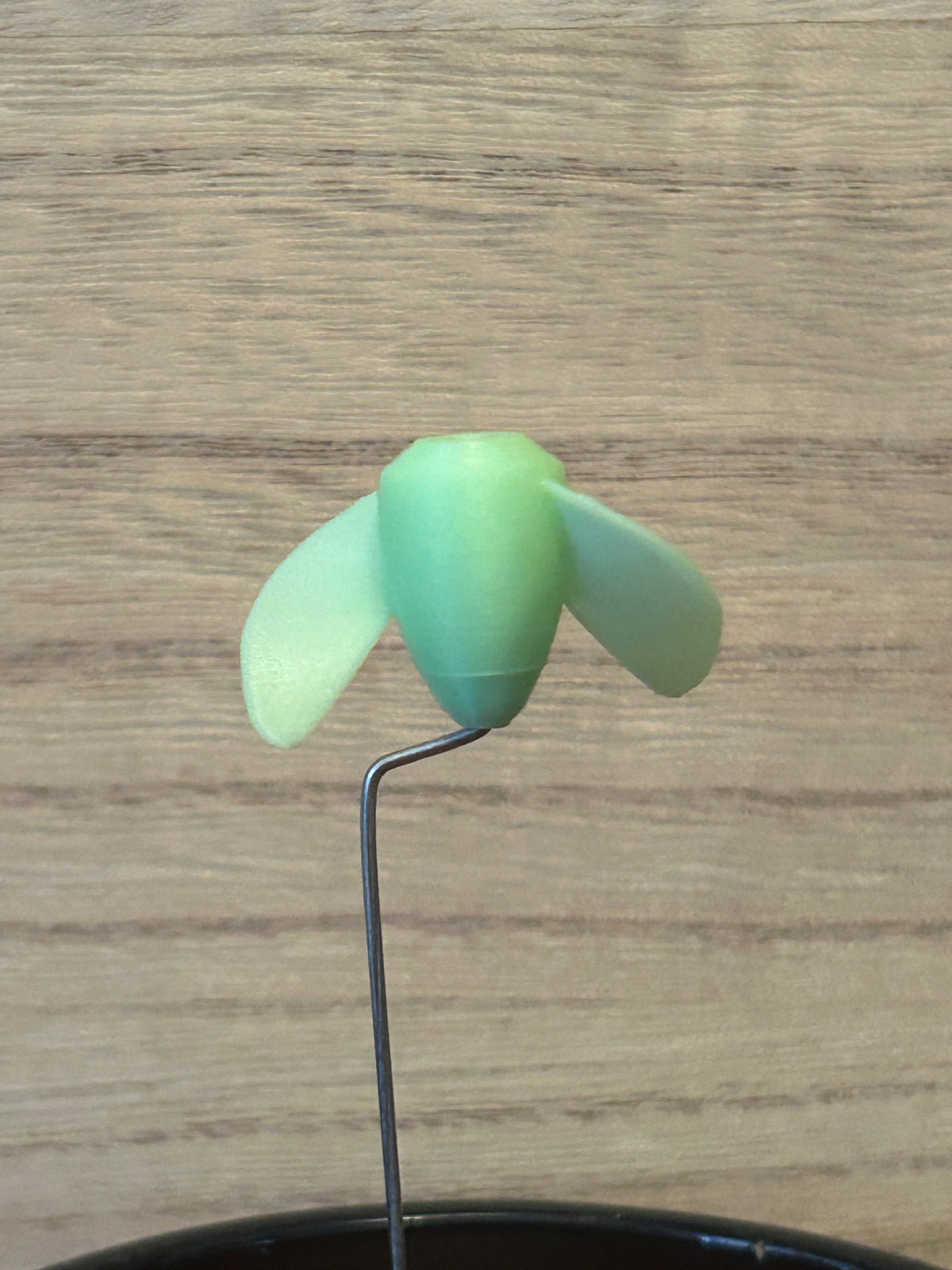 The Whirly - (4-Pack) Glow Green