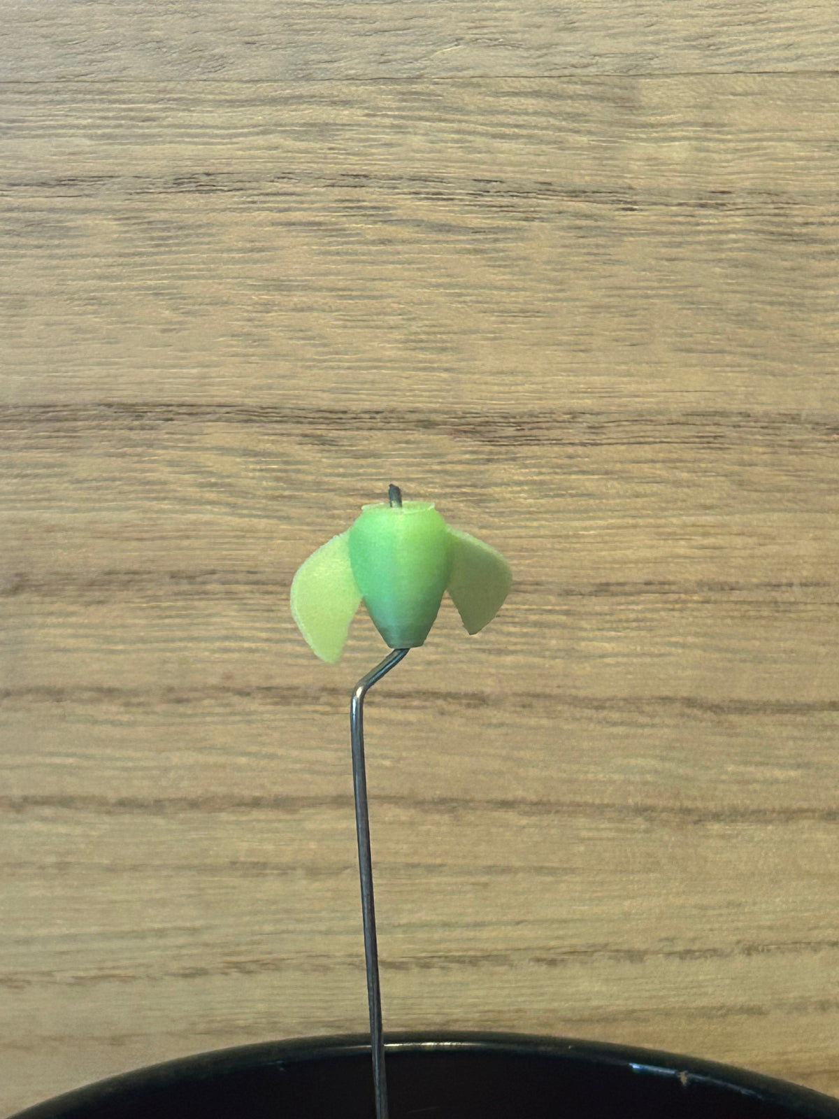 The Whirly - (4-Pack) Glow Green