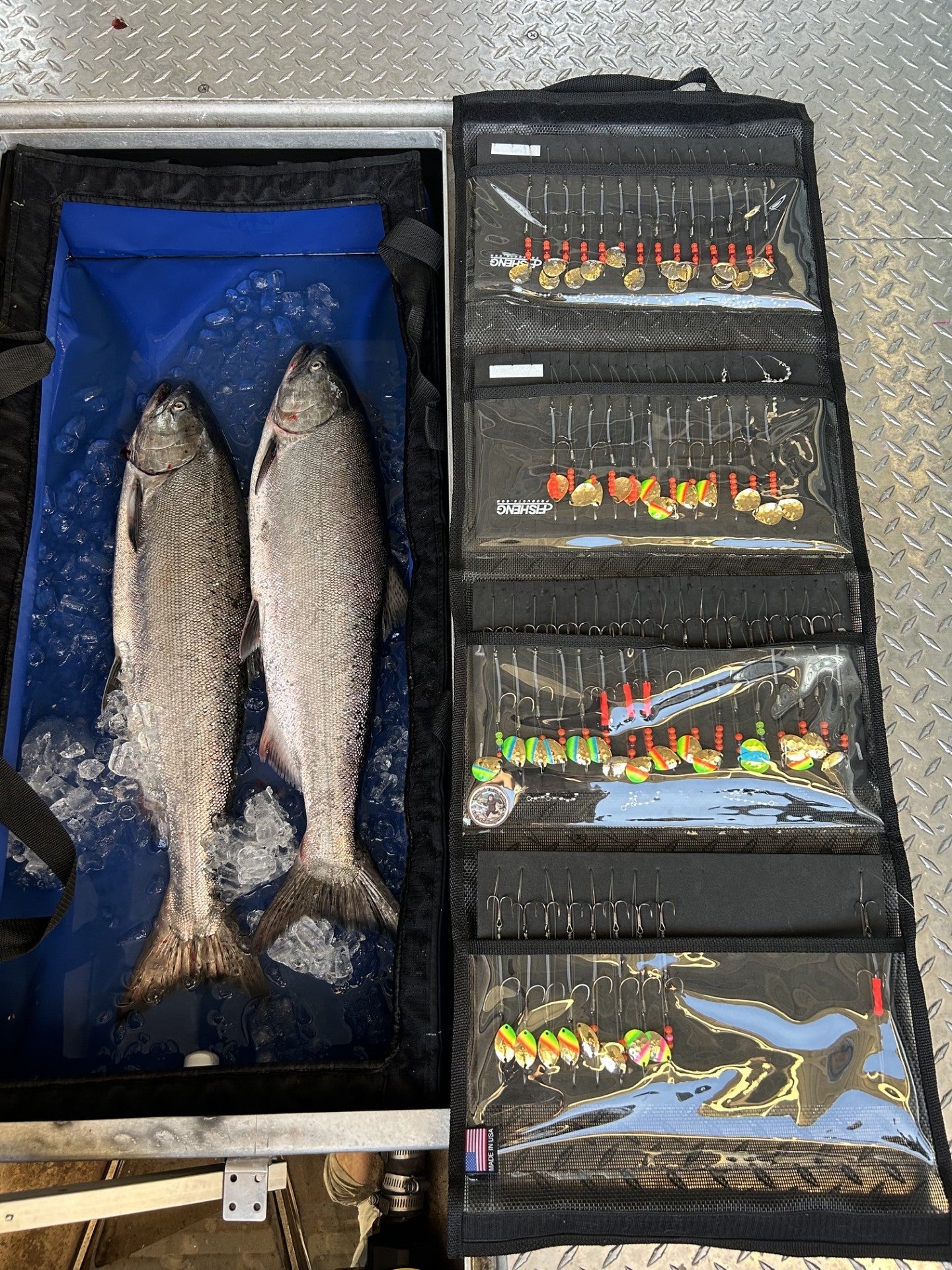 CHINOOK 4 LB